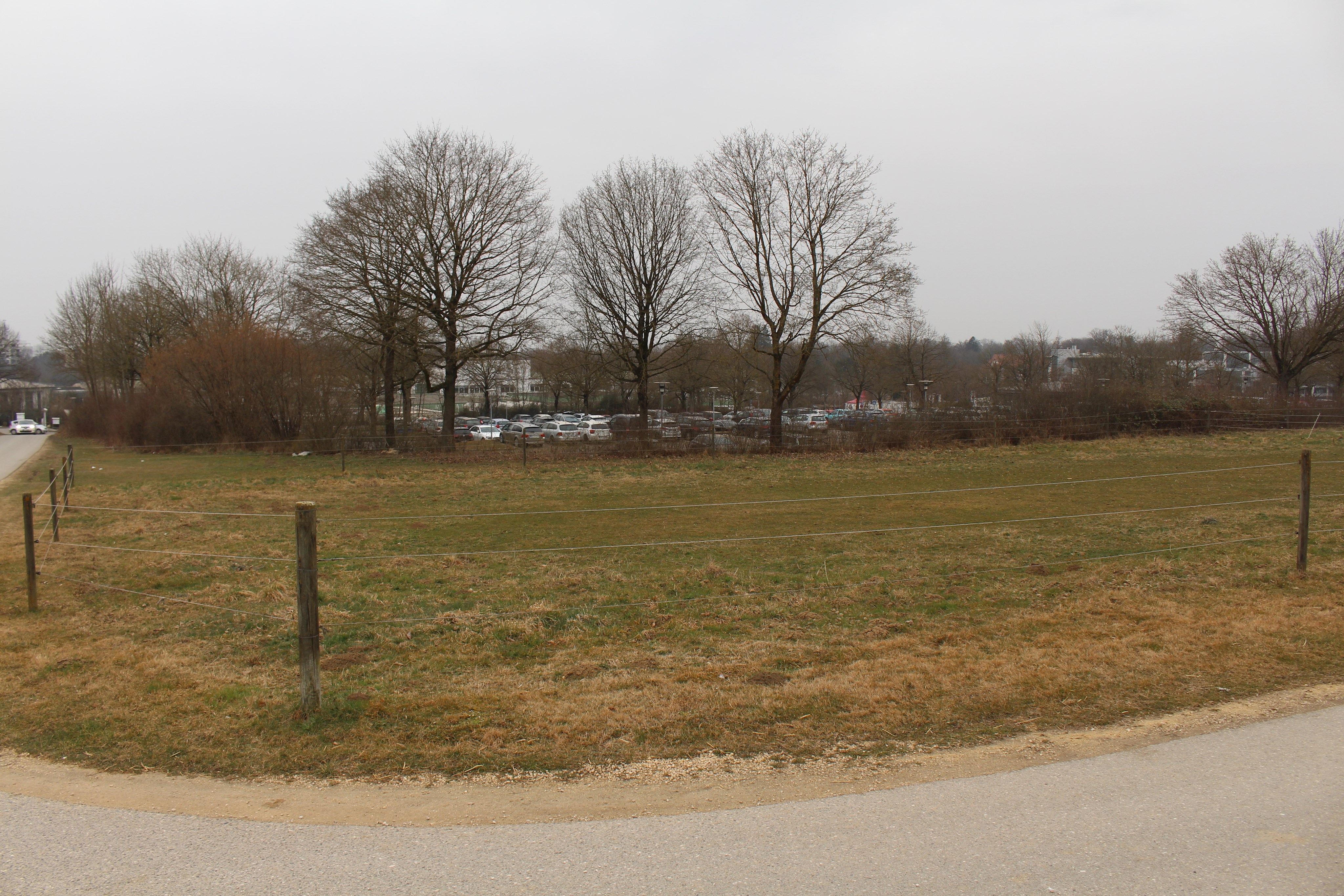 Auf dieser freien Fläche östlich der Parkplatzanlage sollen die neuen Stellflächen entstehen. Links hinter den Bäumen befindet sich die Kreisklinik, rechts das Ärztehaus und das Bezirkskrankenhaus - Foto: Georg Schalk