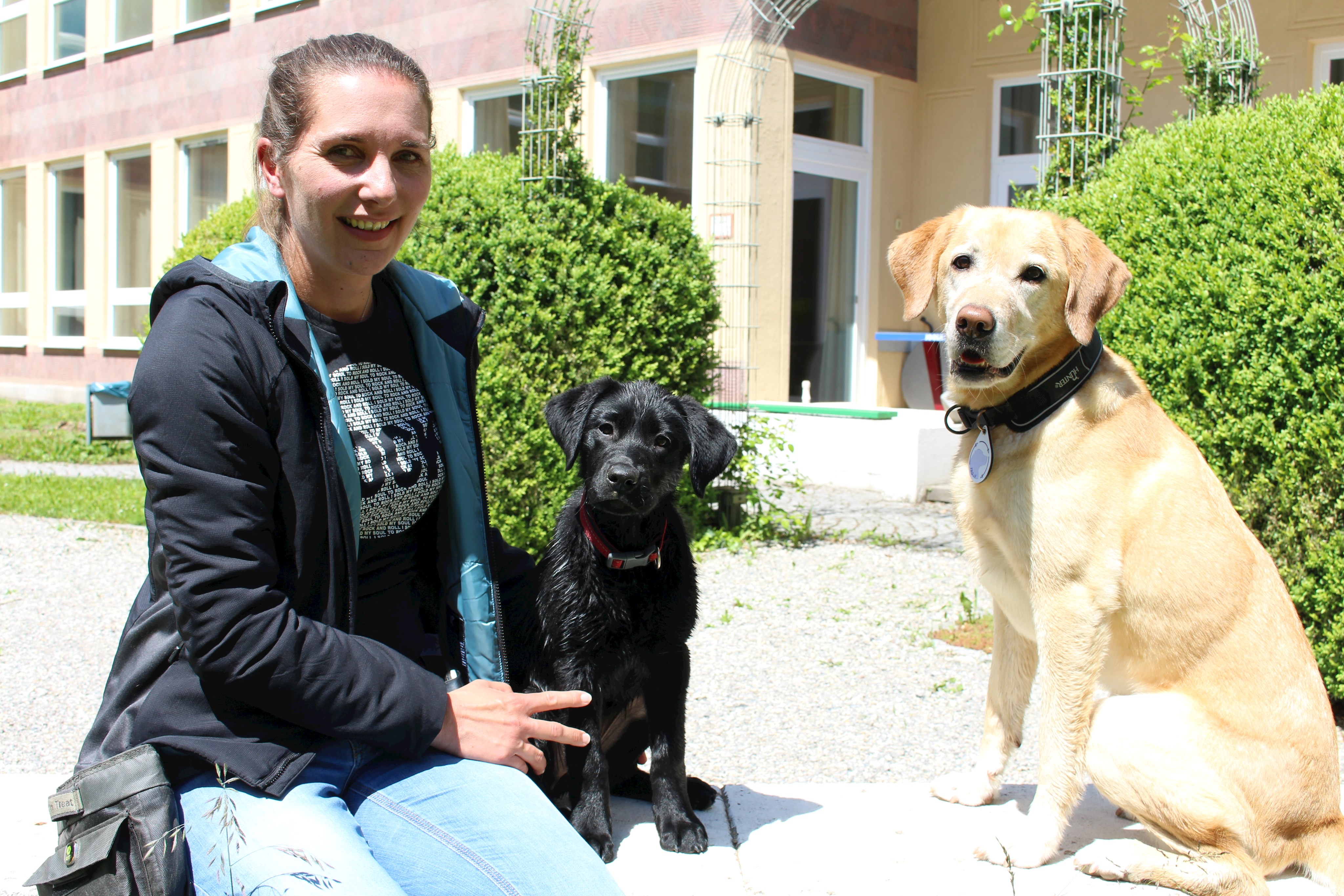 Ergotherapeutin Eva Schmuck mit ihren beiden Labrador-Hündinnen Emma (rechts) und Käthe. Während Emma bereits ausgebildeter Therapiebegleithund im Gesundheitswesen ist, ist die kleine Käthe erst auf dem Weg dazu. Alle Drei arbeiten am Bezirkskrankenhaus (BKH) Kaufbeuren und sind dort in der Klinik für Forensische Psychiatrie und Psychotherapie im Einsatz.