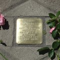 Stolperstein für Ella Banehr - Foto: Wiebke Janssen