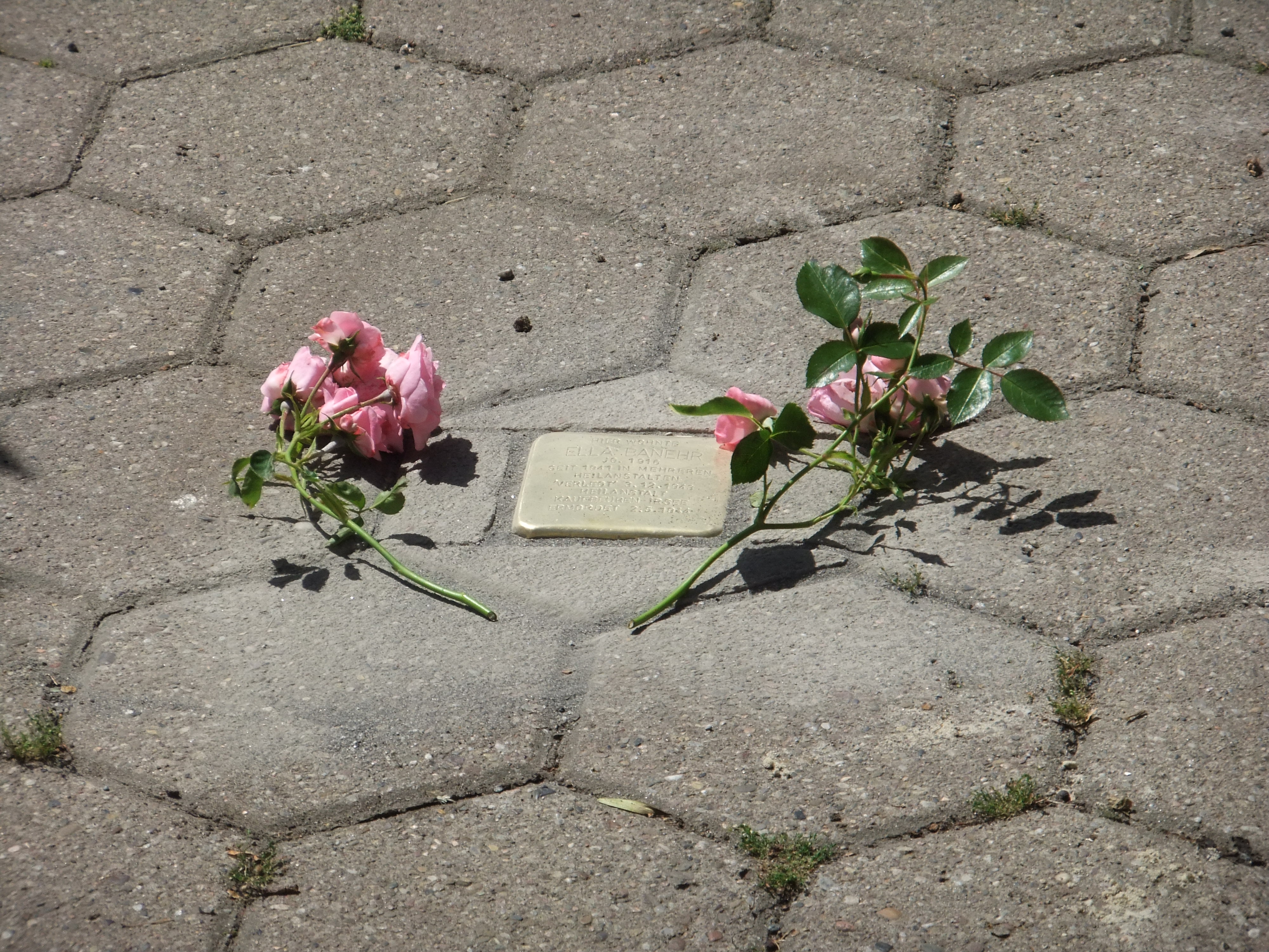 Stolperstein für Ella Banehr (2) - Foto: Wiebke Janssen