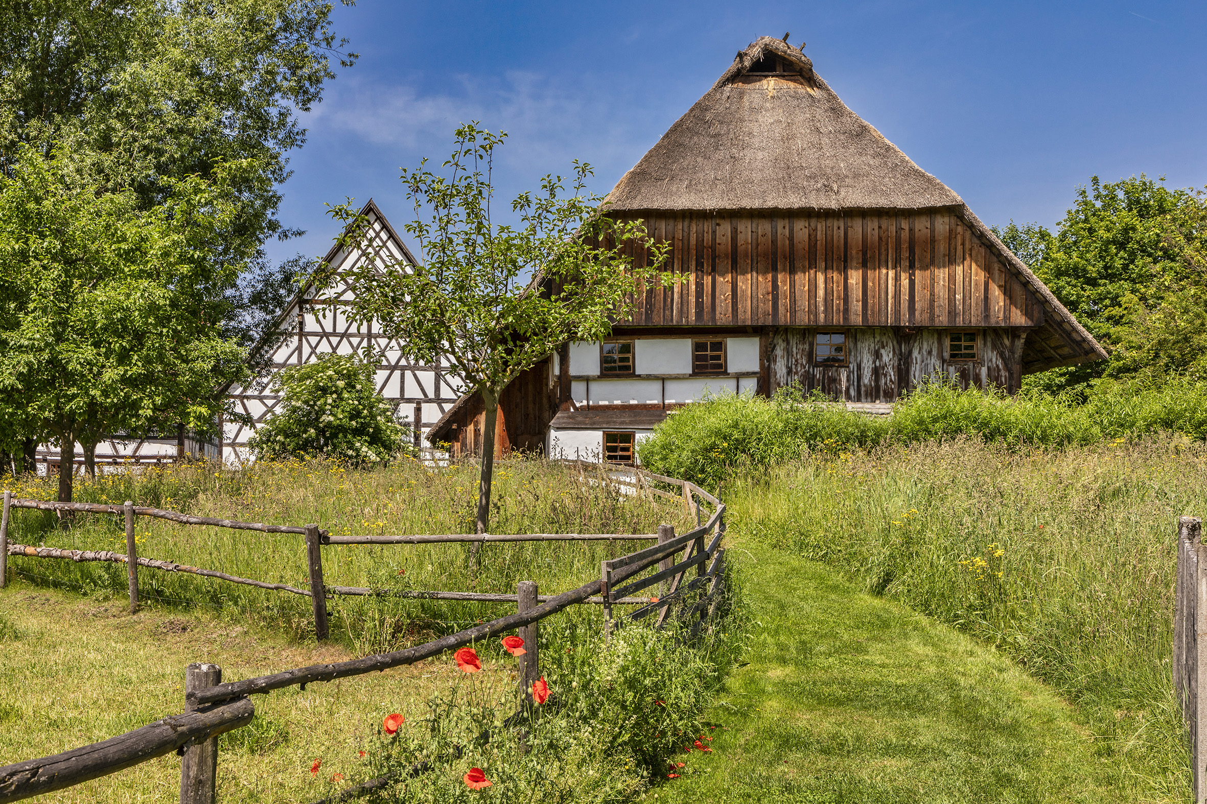 Ein Sommer in Schwabens Freilichtmuseum. Das ist wie Ausfliegen, Rumstreunen, Sammeln und Verweilen. Vielleicht auch ein wenig mit Schwitzen…