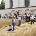 Nach zweijähriger pandemiebedingter Pause finden das Schnitter- und das Kartoffelfest in diesem Jahr wieder in gewohnter Form statt. - Foto: Martin Beer