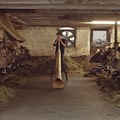 Ab dem 30. Oktober ist der Kunstpreisträger des Bezirks Schwaben 2021, Jonas Maria Ried, mit der Ausstellung „Talking To Cows“ zu sehen. - Foto: Jonas Maria Ried
