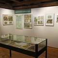 Einblick in die Sonderausstellung „Gezeichnet B. Fischer“ - Foto: Dr. Bruno Langner
