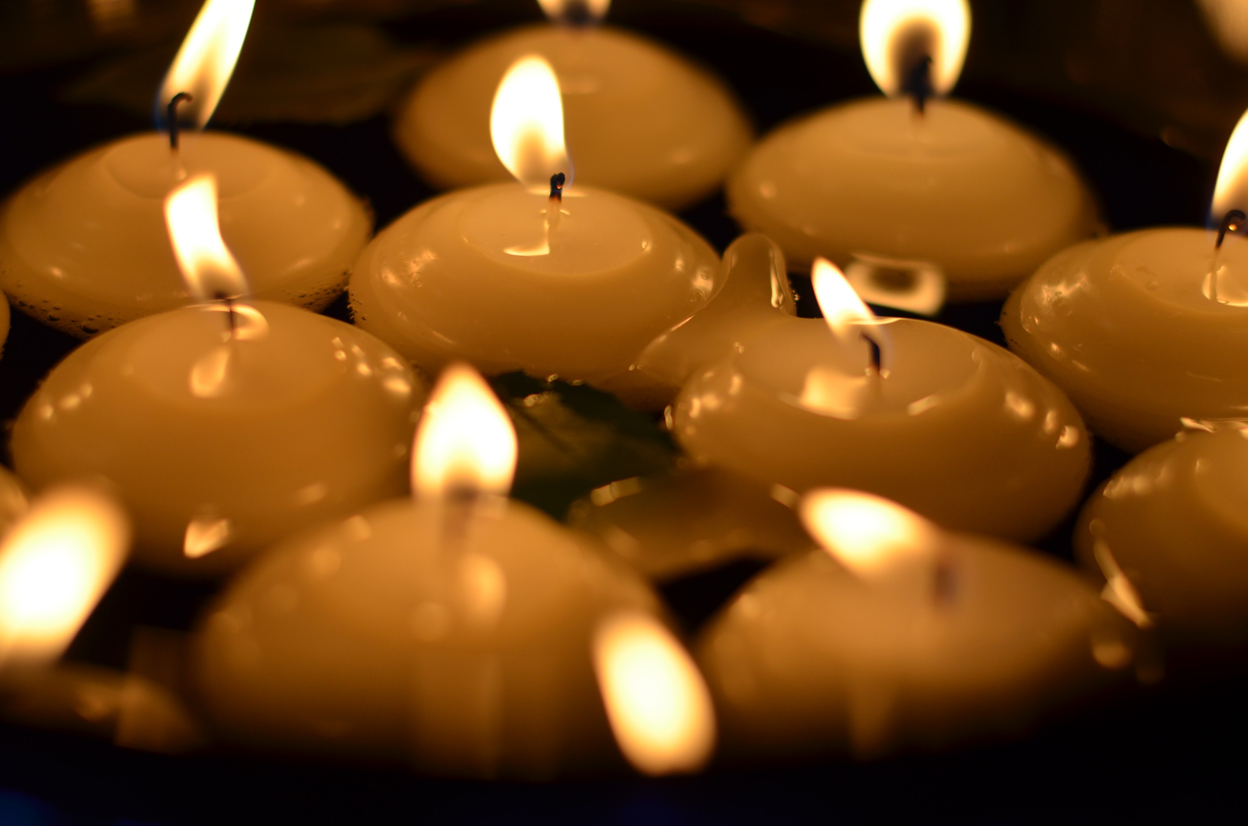 Lasst uns heut vor Freuden singen - Adventliche Lieder und Musik zum Mitsingen und Zuhören