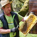 Imker Anton Göck bei der Arbeit mit seinen Bienen