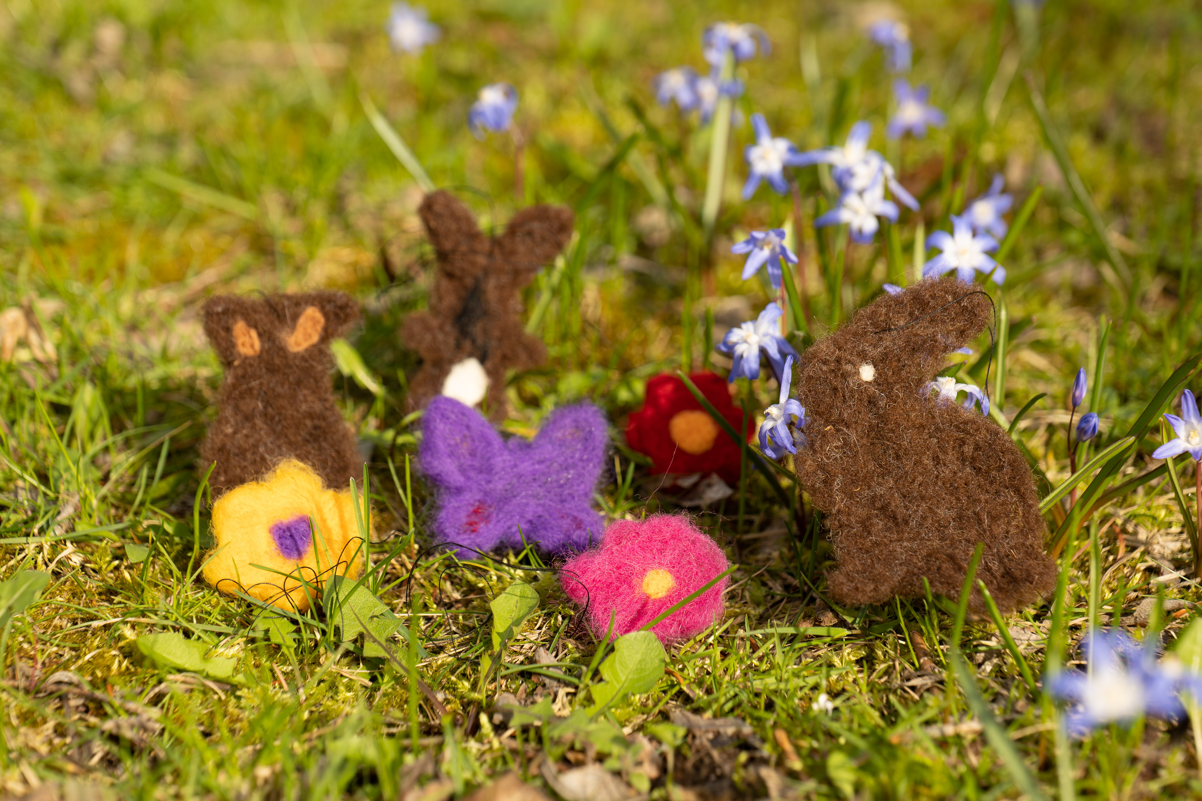 Holt den Frühling zu euch nach Hause! Familienangebot im Museum KulturLand Ries